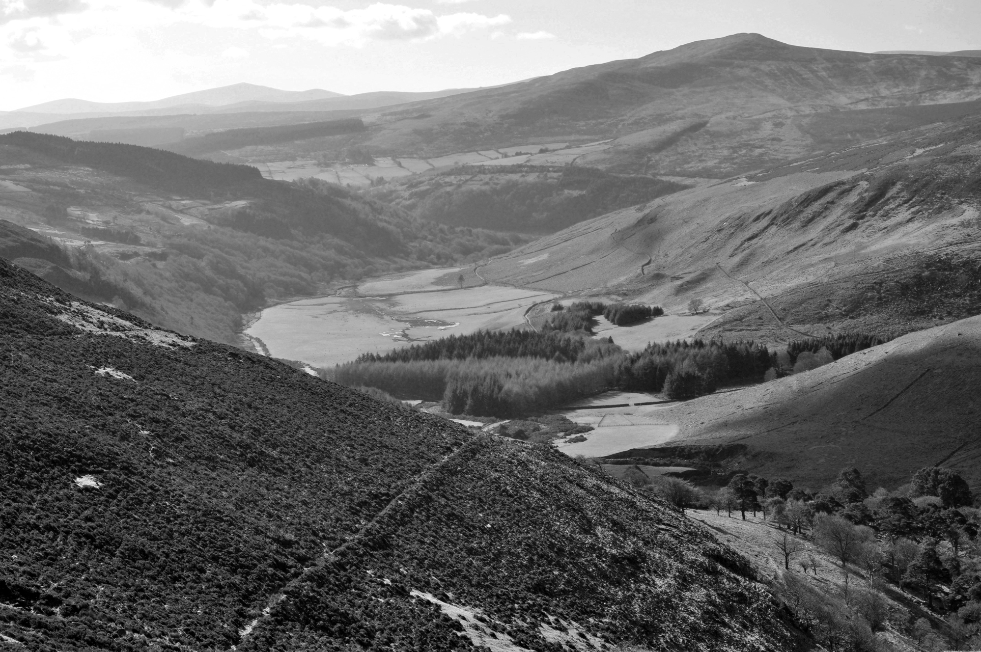 B&W photography