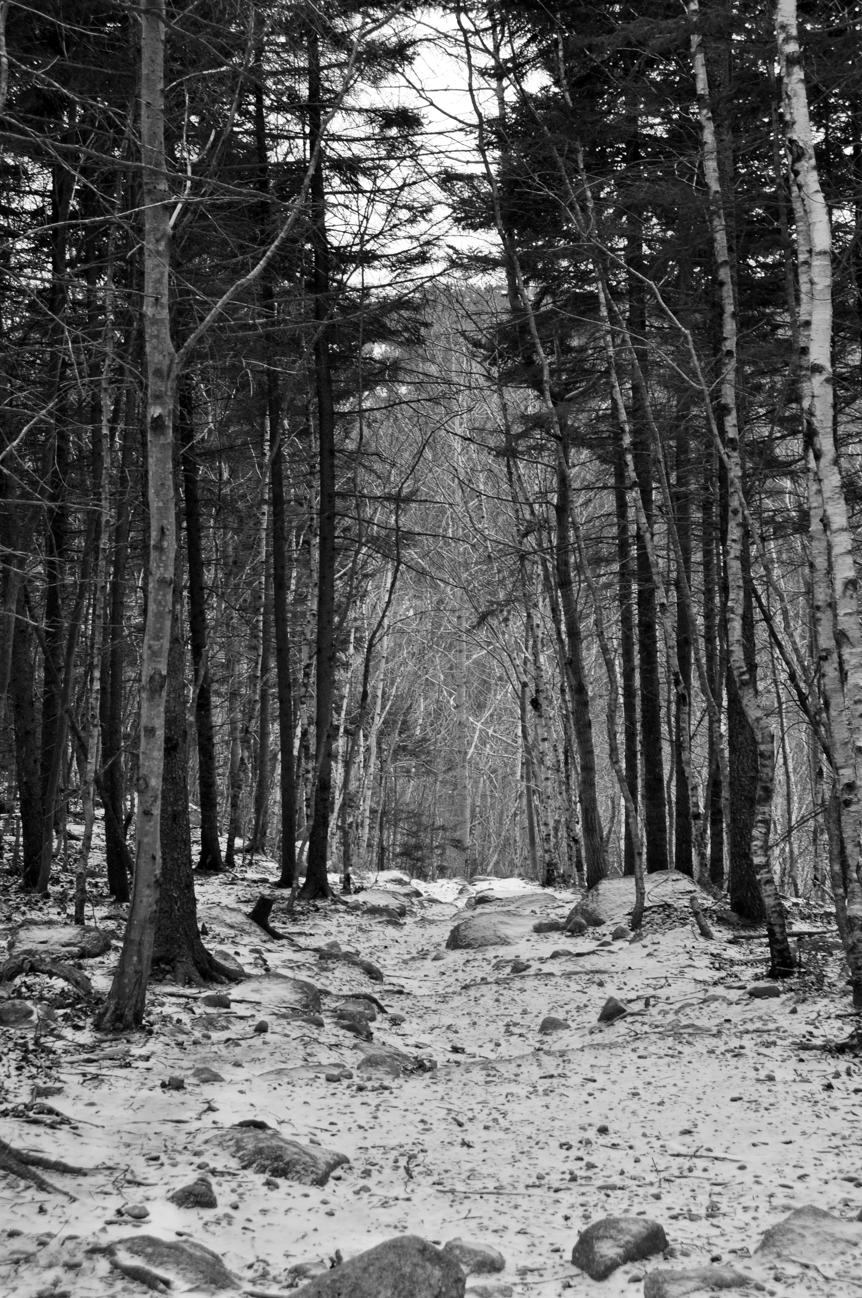 B&W photography