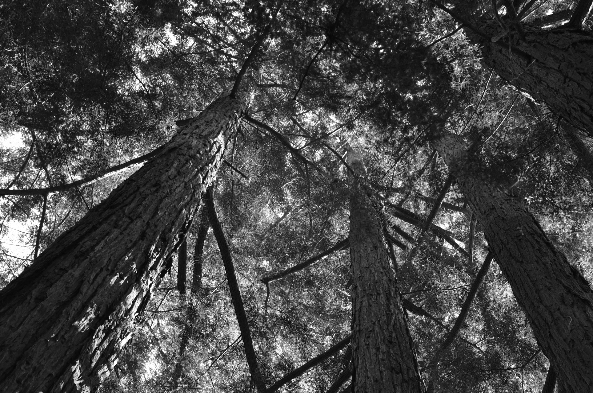 B&W photography